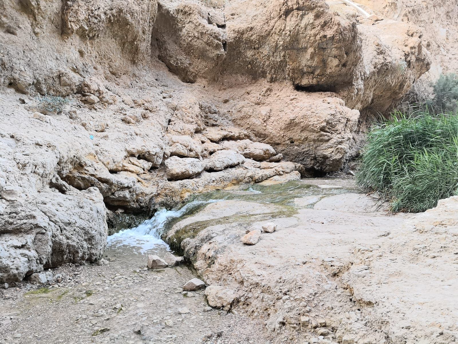 קייטנת קיץ 2018 פסוריאזיס